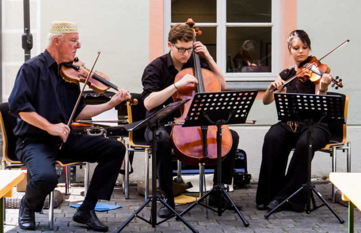 Alternative Strings Trio 2015